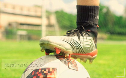 多维数据图 色彩分层 趋势清晰